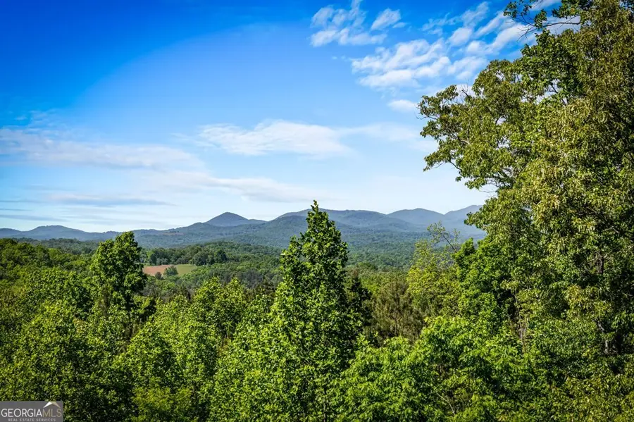 479 Big Timber Road, Mineral Bluff, GA 30559 - #2