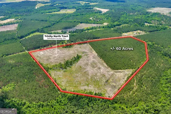 0 Trinity North, Adrian, GA 31002