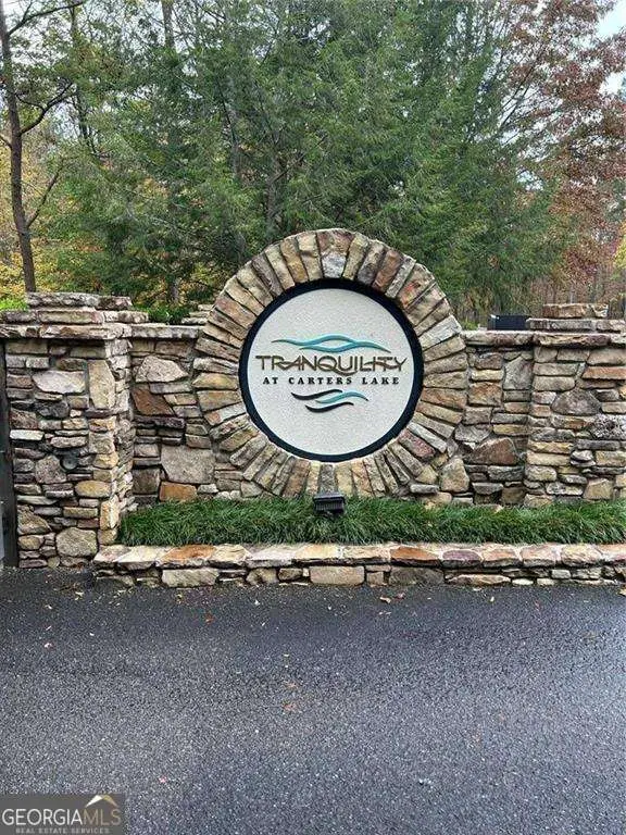0 Doll Mountain Road #LOT 98, Ellijay, GA 30540 - #1