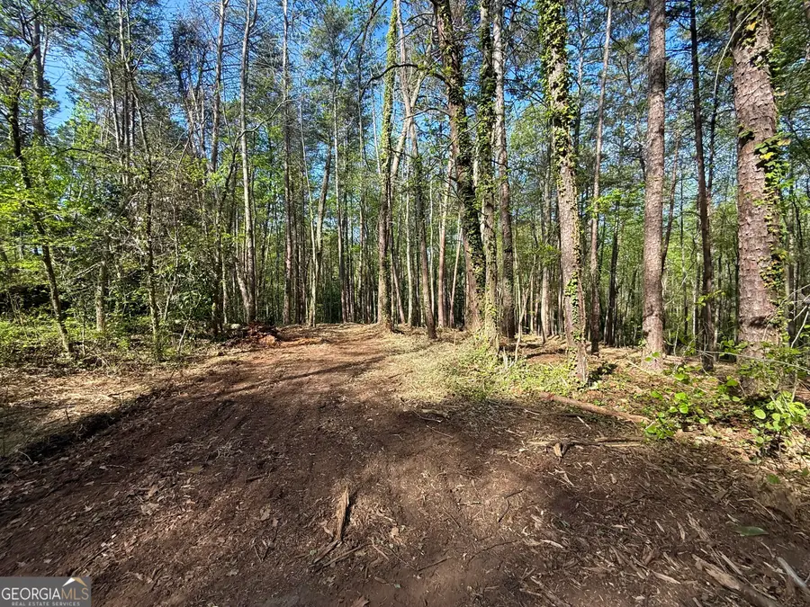 422 Parkway Drive, Toccoa, GA 30577 - #2
