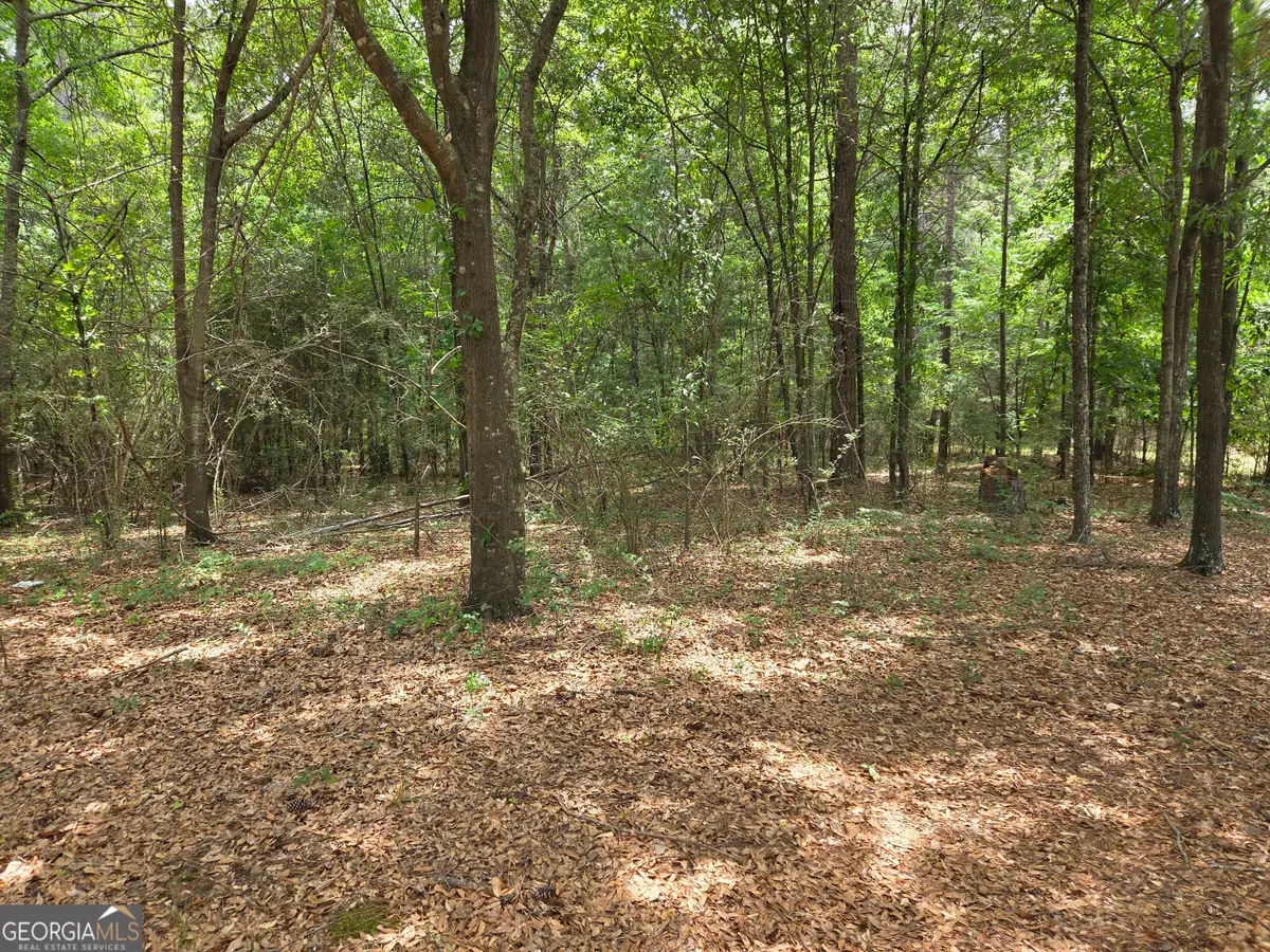 6045 Cara Drive, Macon, GA 31216 - #1