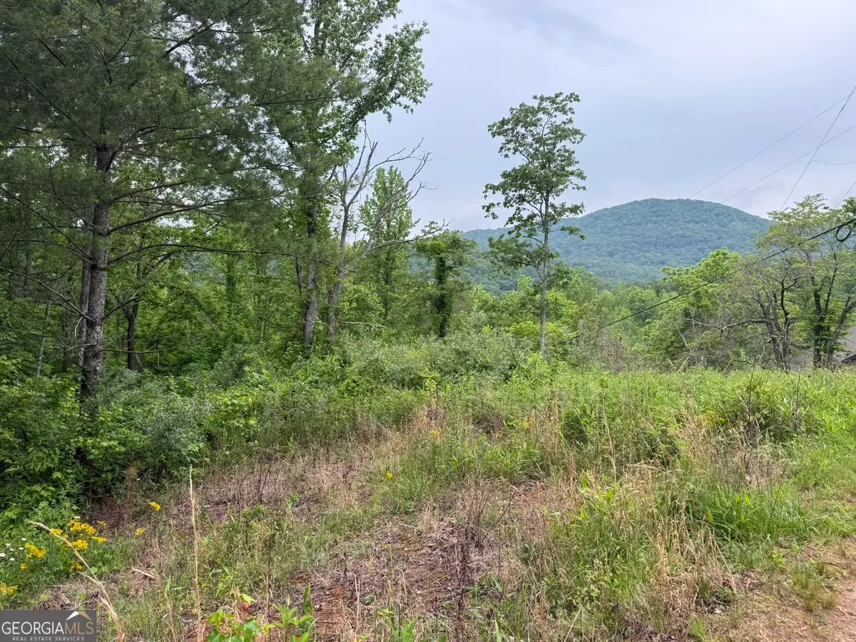 LOT 7D Meadow View Lane, Cleveland, GA 30528 - #1