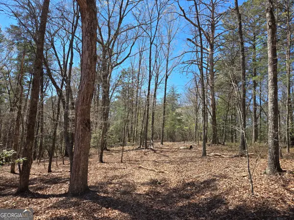 95 Black Bear Trail, Cleveland, GA 30528