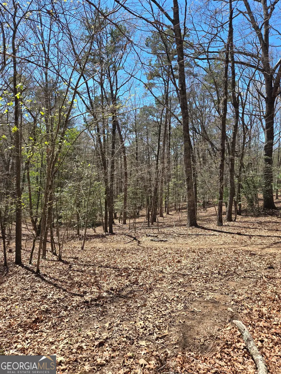 95 Black Bear Trail, Cleveland, GA 30528 - #3