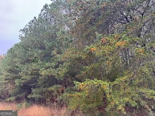 0 MORAN LAKE RO Moran Lake Road, Rome, GA 30165 - #3