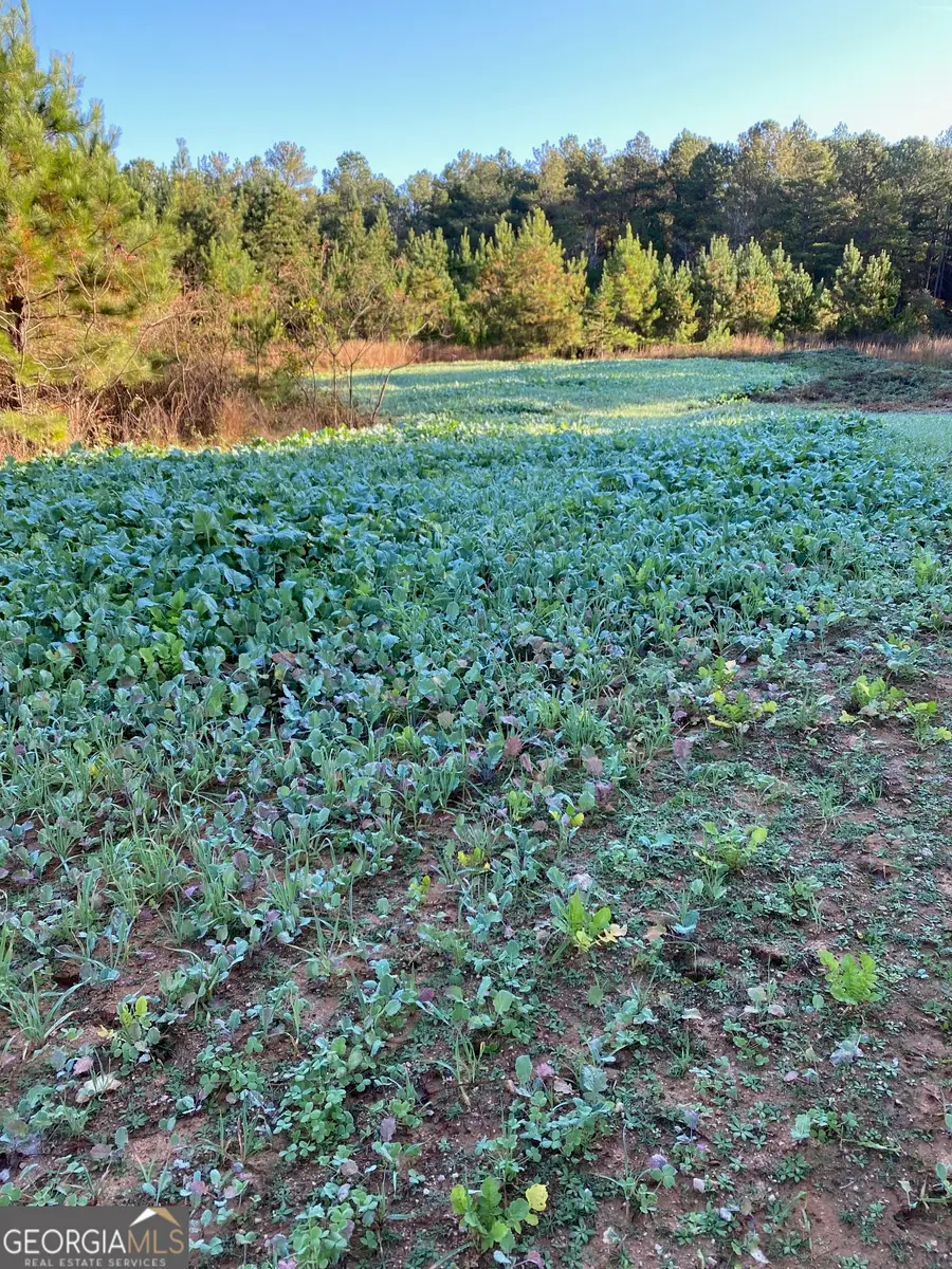 0000 Center Hill School Road, Crawfordville, GA 30631 - #3