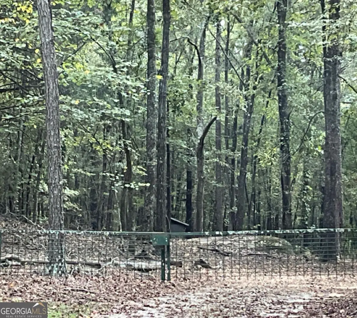 LOT 7 Browns Lake, Sparta, GA 31087 - #1