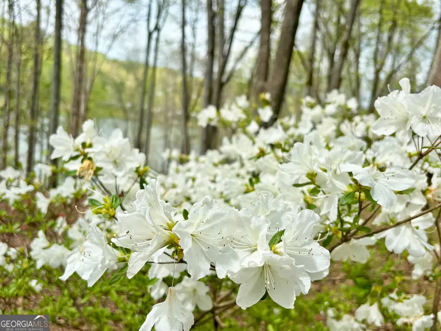 LOT 5 Walnut Rd, Blairsville, GA 30512 - #2