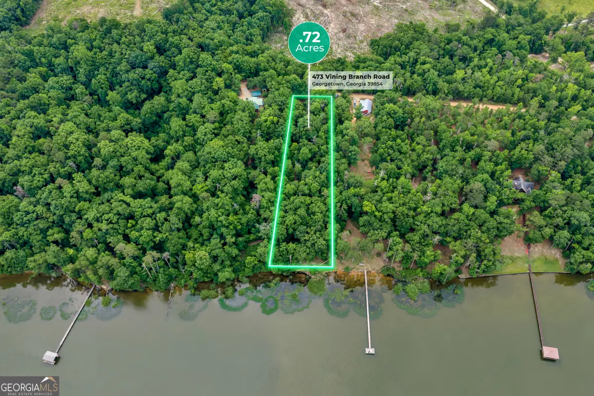 473 Vining Branch Road, Georgetown North, GA 39854 - #1