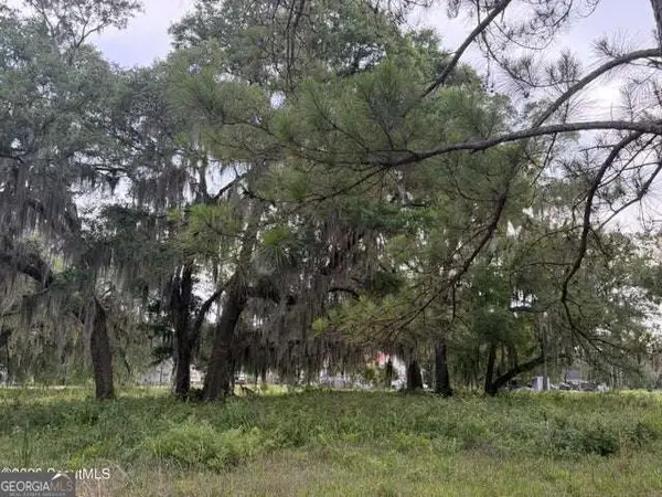 119 Sapelo Circle #LOT 38, Darien, GA 31305