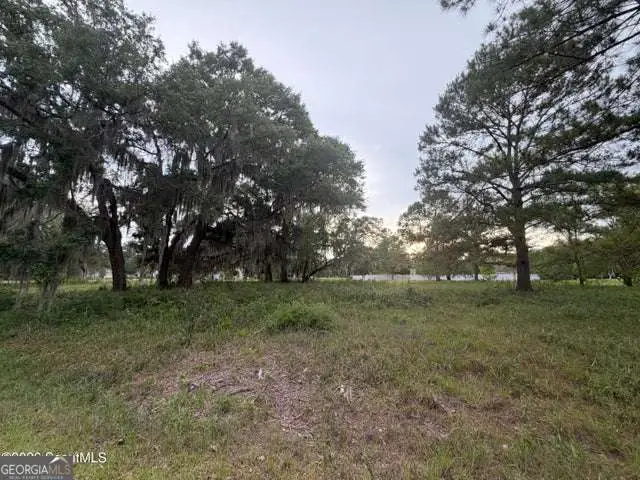 119 Sapelo Circle #LOT 38, Darien, GA 31305 - #3