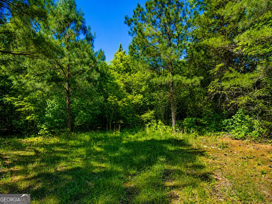 5 ACRES Stanfield Drive, Lafayette, GA 30728 - #3