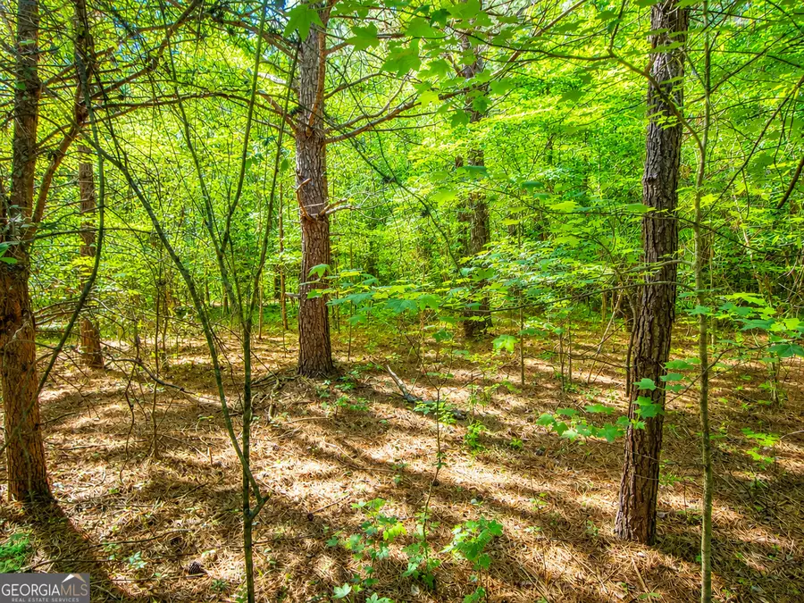15.06 ACRES Bandy Road, Lafayette, GA 30728 - #3