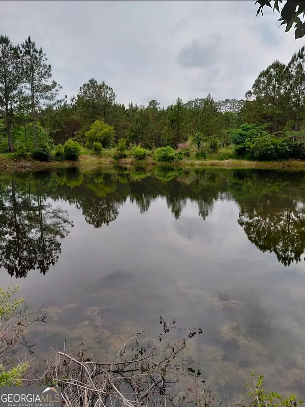436 Russell Boulevard #ACRES 21.45, St. George, GA 31562