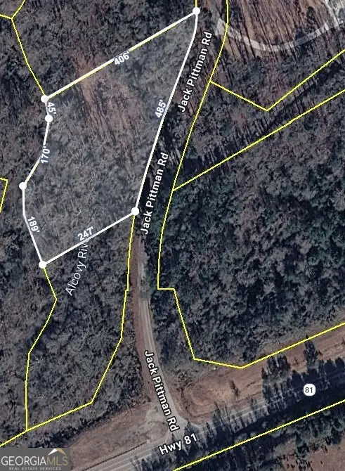 0 Jack Pittman Road, Dacula, GA 30019 - #3