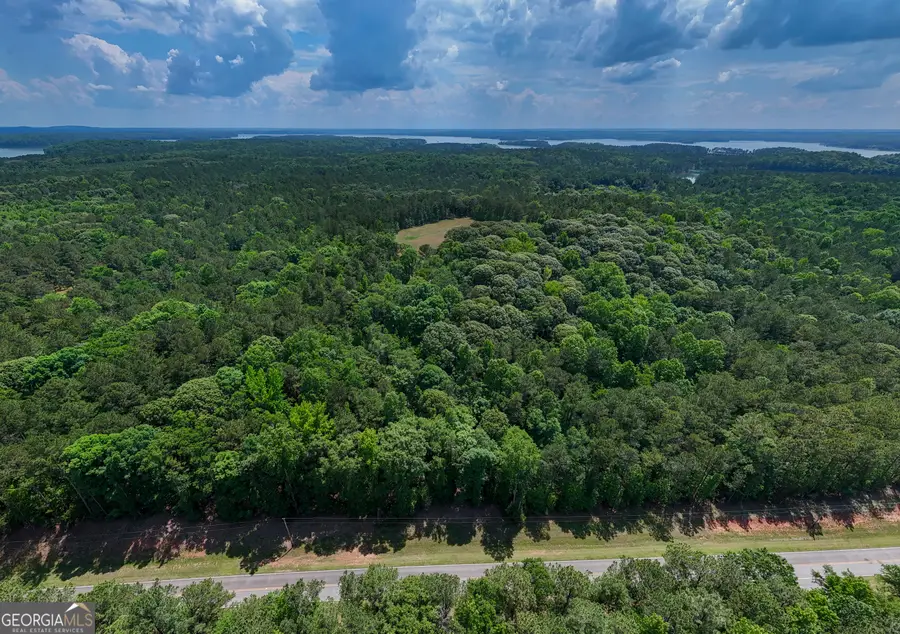 0 Ferrell Tatum Road, Lagrange, GA 30240 - #2