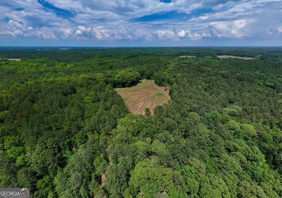 0 Ferrell Tatum Road, Lagrange, GA 30240 - #3