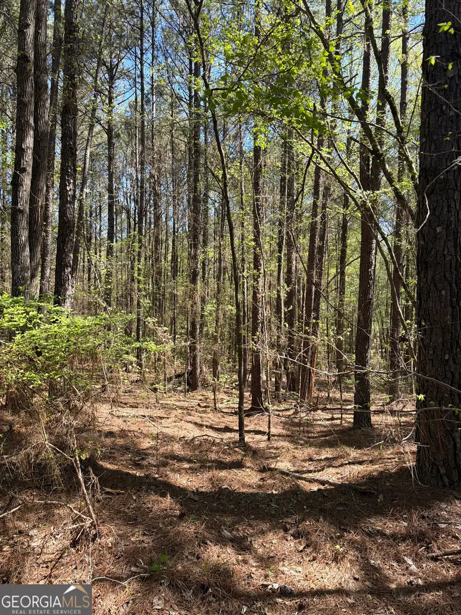 N/A Old Union Point Road, Greensboro, GA 30642 - #2