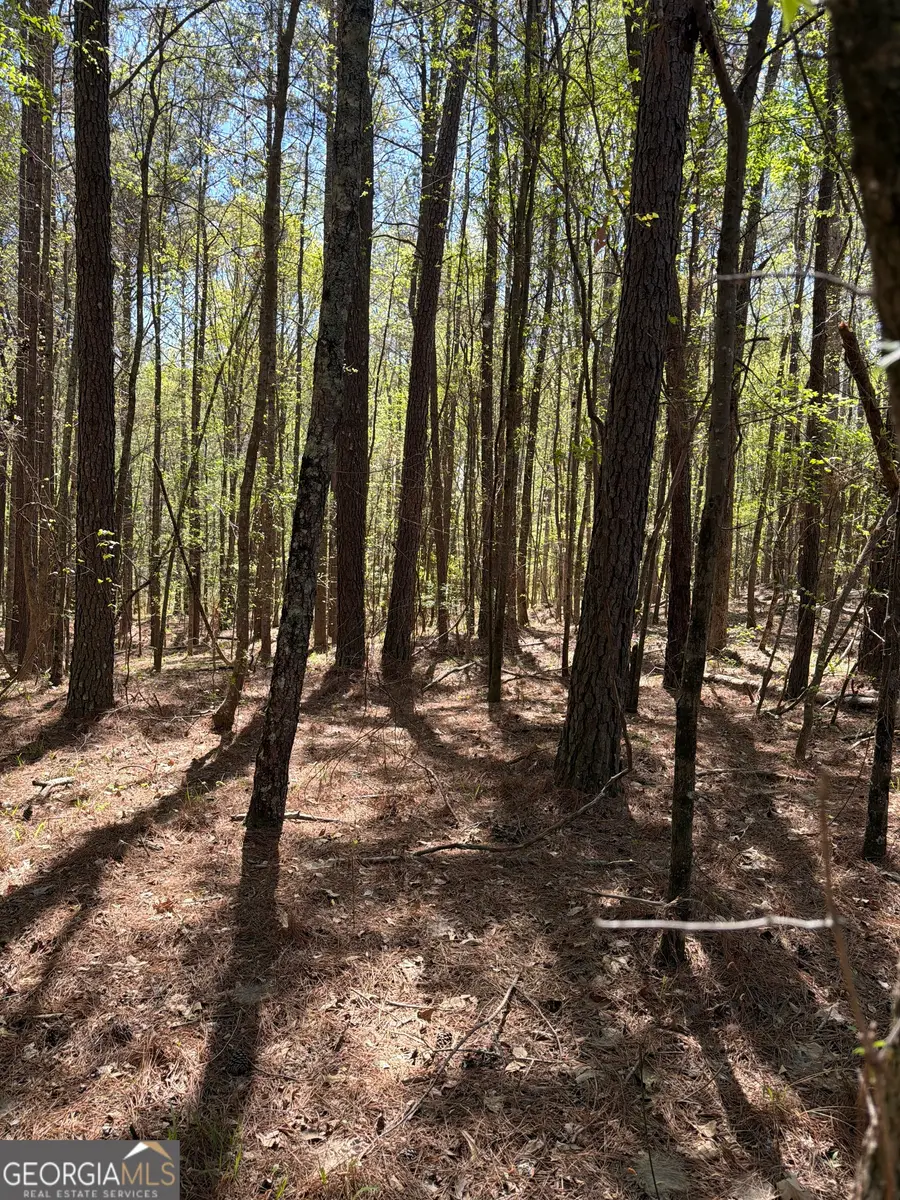 N/A Old Union Point Road, Greensboro, GA 30642 - #3