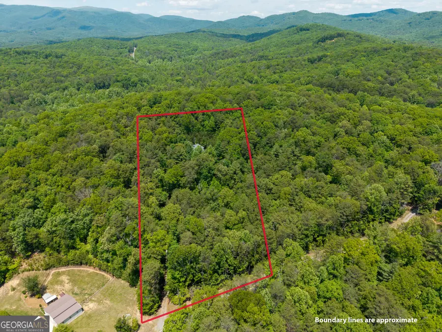 9121 Roy Road, Ellijay, GA 30536 - #3