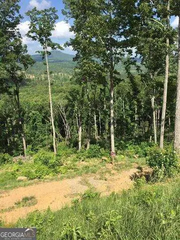 0 Ridge Pointe Way #369, Blairsville, GA 30512 - #2