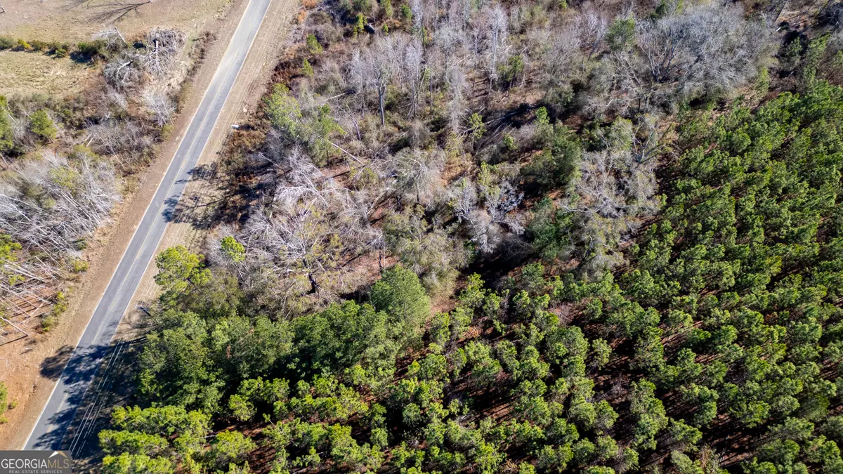 0 Shenandoah Road, Alma, GA 31510 - #1