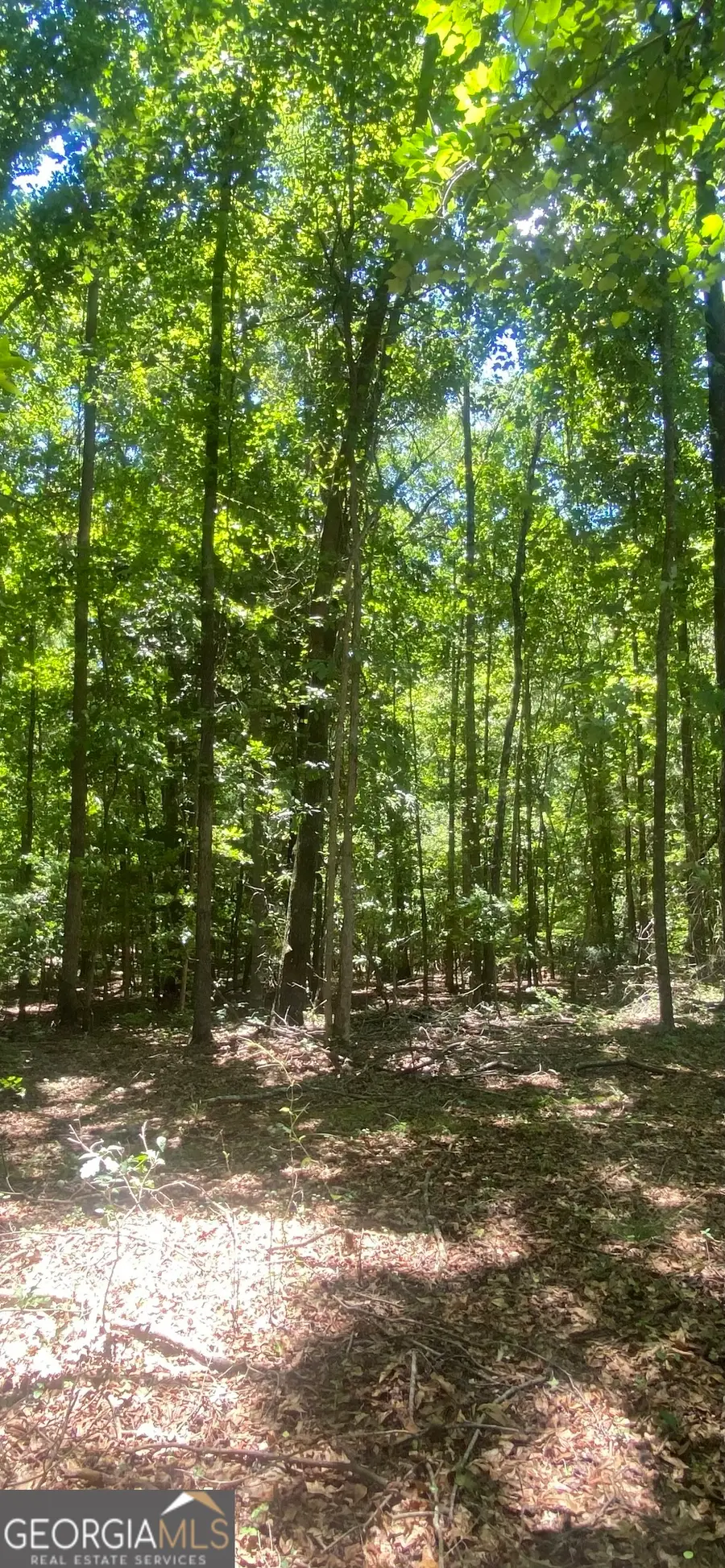 1400 Diamond Hill Church Road, Maysville, GA 30558 - #2