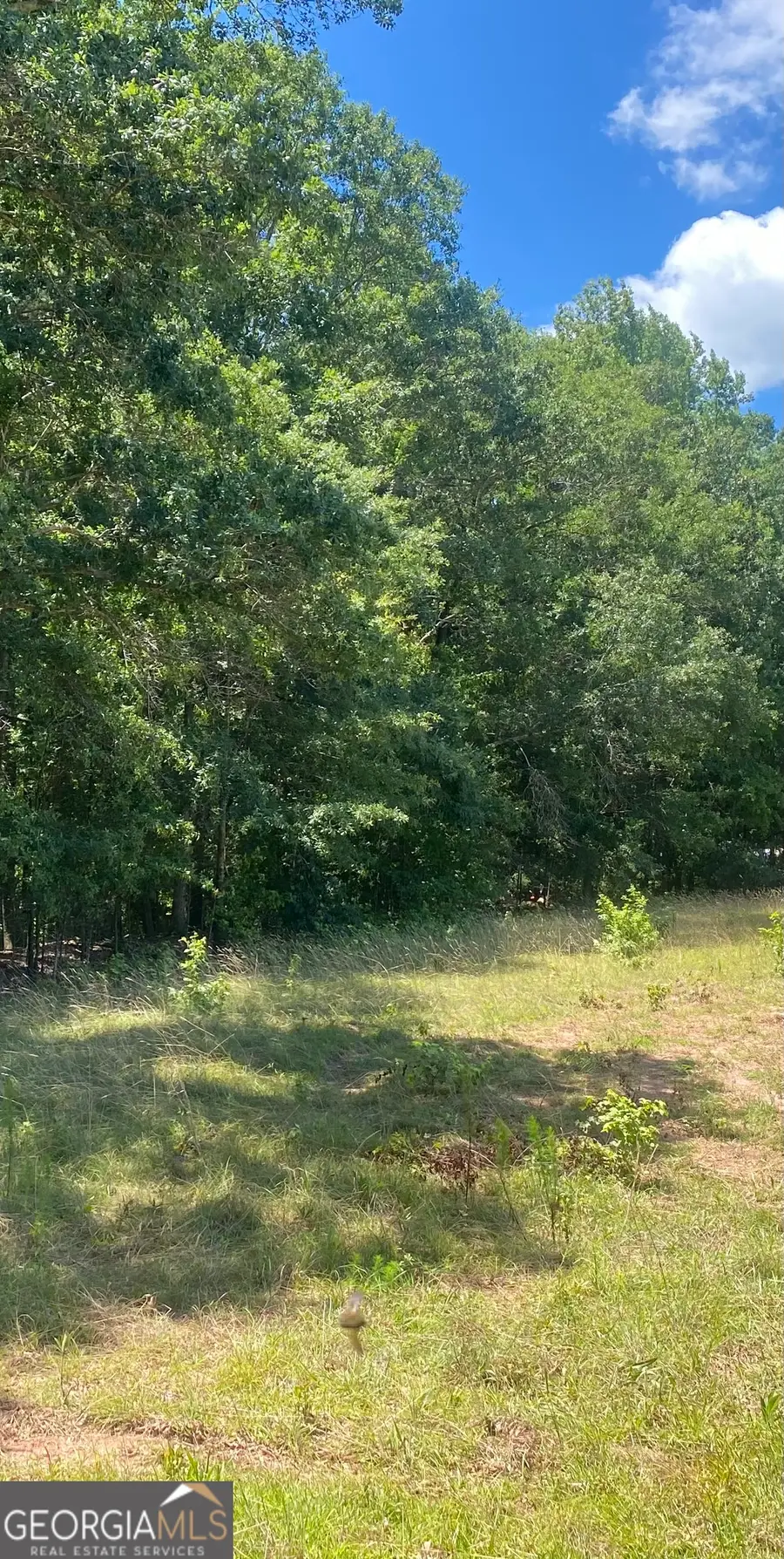 1400 Diamond Hill Church Road, Maysville, GA 30558 - #3