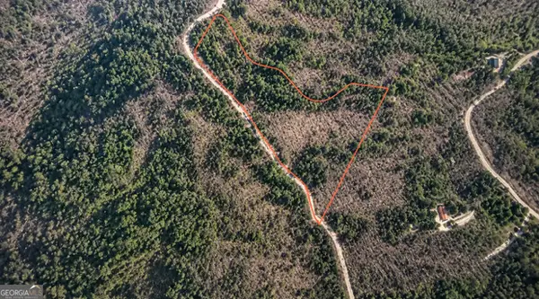 LOT 169 Flagpole Circle, Ellijay, GA 30540