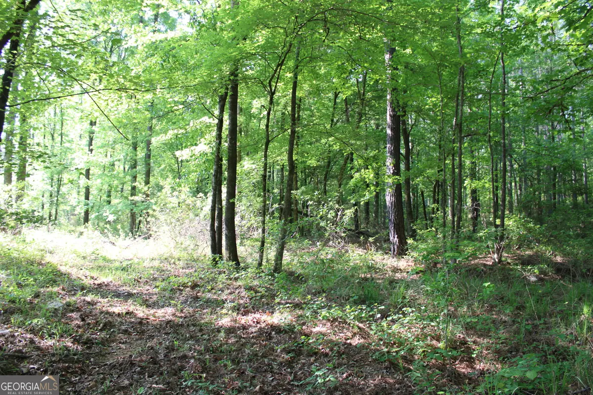 0 Ga Hwy 87 Tract 1, Forsyth, GA 31029 - #1