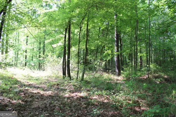 0 Ga Hwy 87 Tract 1, Forsyth, GA 31029