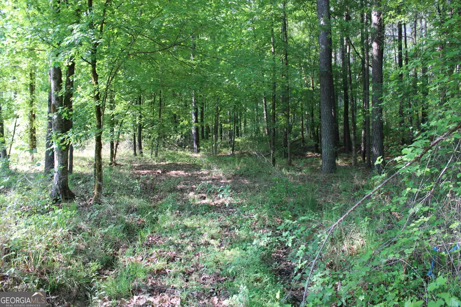 0 Ga Hwy 87 Tract 1, Forsyth, GA 31029 - #2