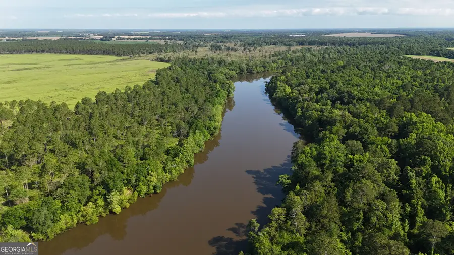 3349 E River Road, Bainbridge, GA 39817 - #3
