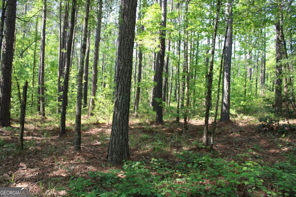 0 Hwy 87 Tract 2, Forsyth, GA 31029 - #1