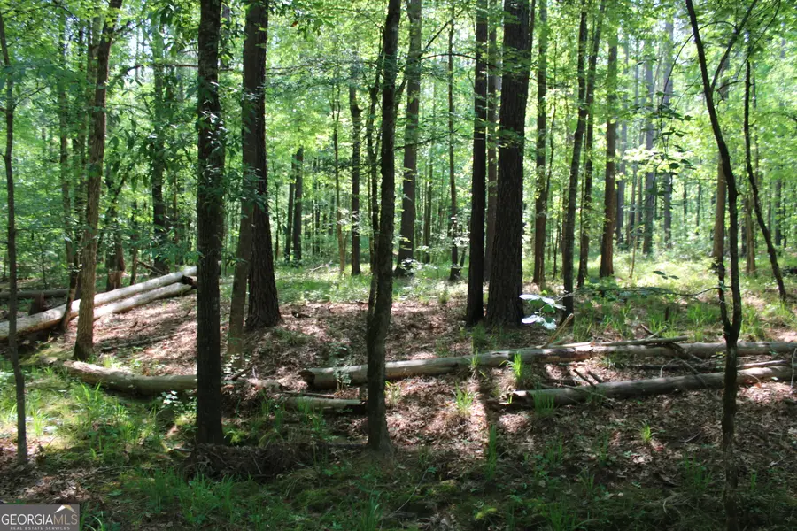 0 Hwy 87 Tract 2, Forsyth, GA 31029 - #2