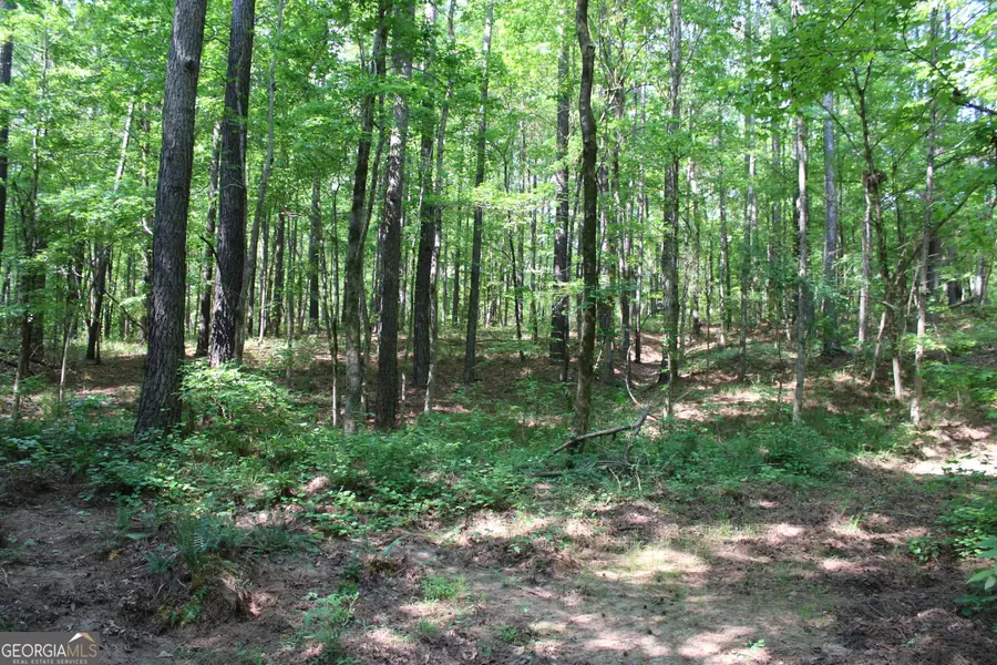 0 Hwy 87 Tract 3, Forsyth, GA 31029 - #2