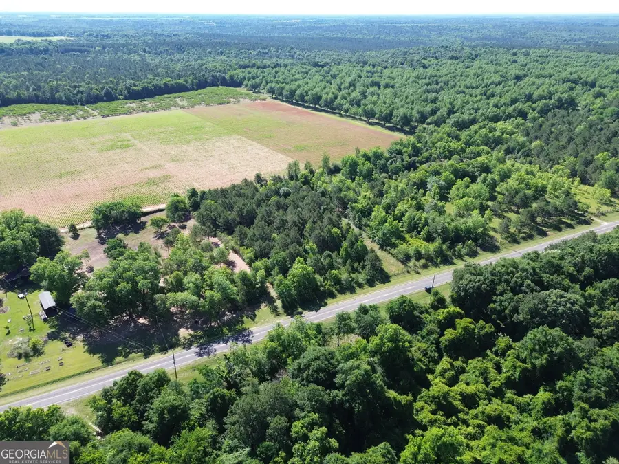 77 Cummings Lane, Fort Valley, GA 31030 - #2