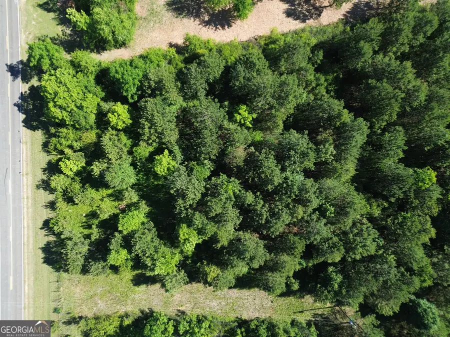 0 Cummings Road #LOT 2, Fort Valley, GA 31030 - #3