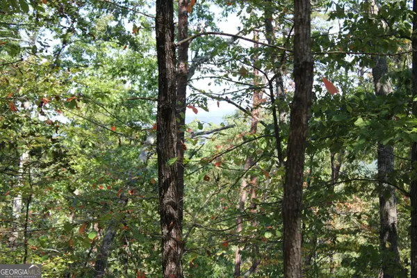 00 Conniston Road, Chatsworth, GA 30705