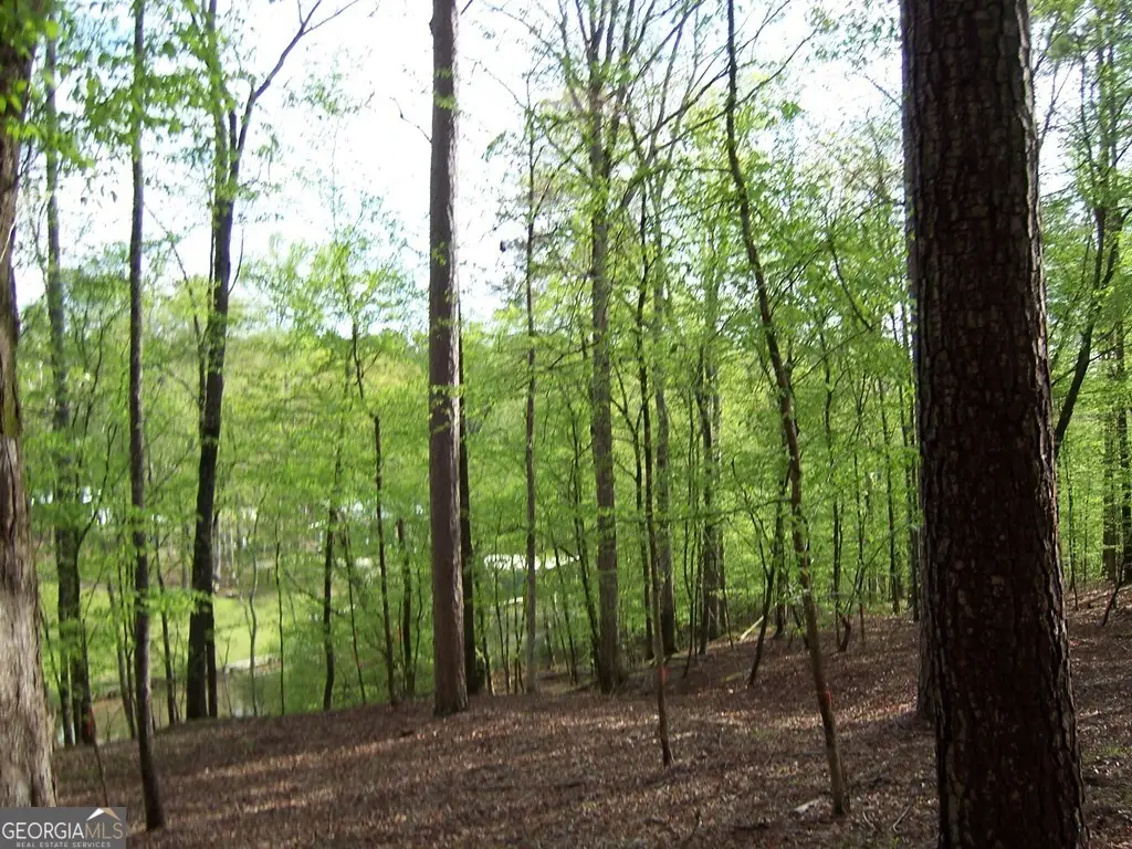 0 Brer Rabbit Trail, Milledgeville, GA 31061 - #1