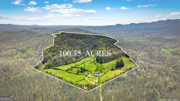 384 Maxwell Road, Blue Ridge, GA 30513