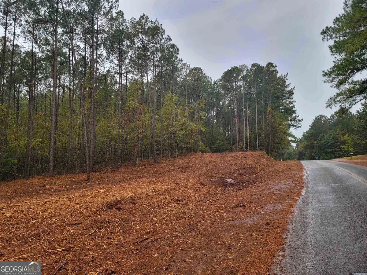 14 ACRES Lamars Mill Road, Flovilla, GA 30216 - #1