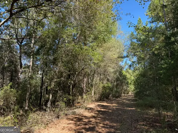 006H Wallace Buie Road, Ashford, AL 36376