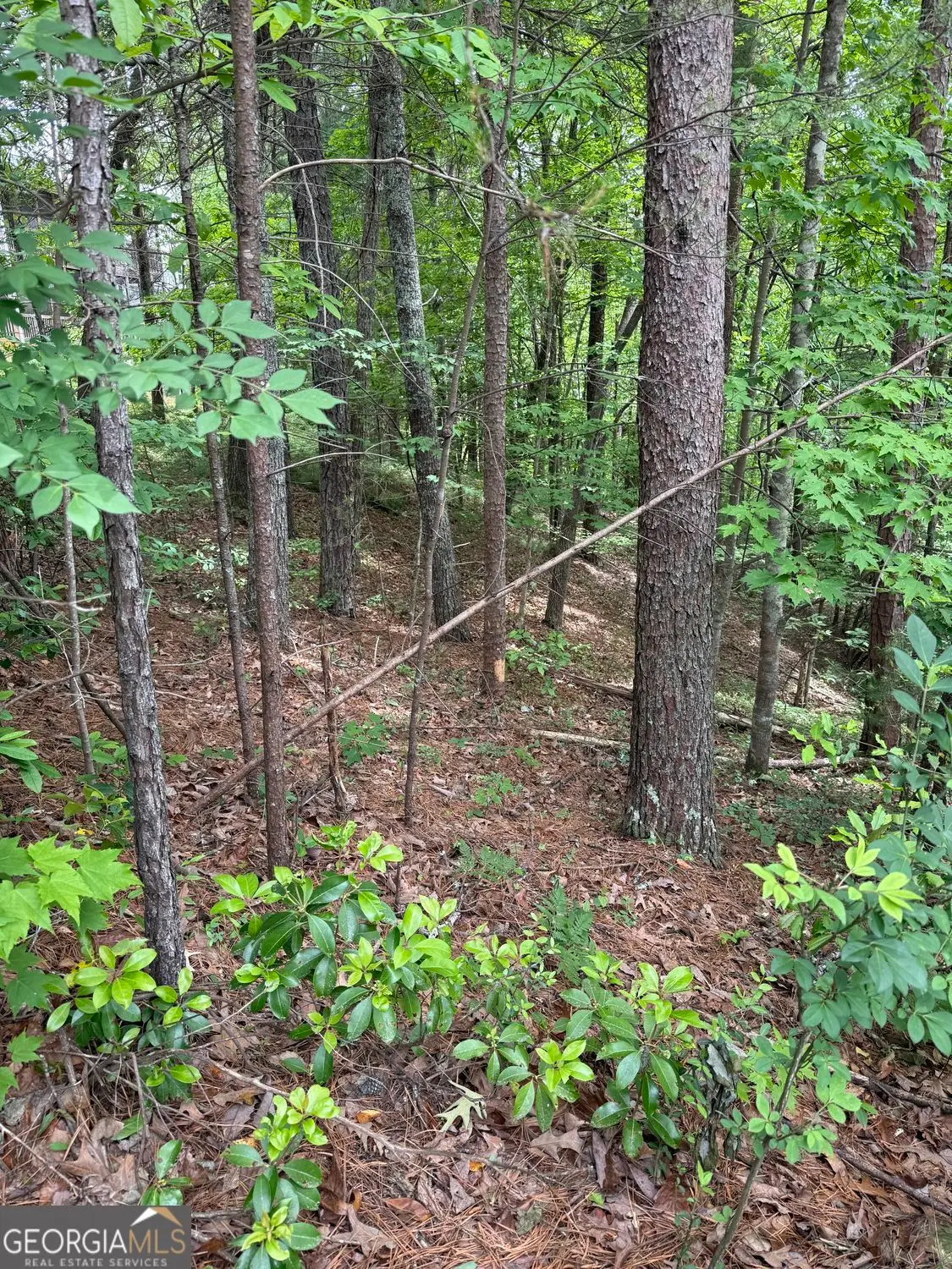 0 Hinterstraten Weg #LOT 116, Helen, GA 30545 - #1