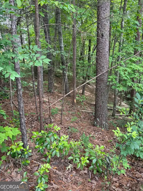 0 Hinterstraten Weg #LOT 116, Helen, GA 30545