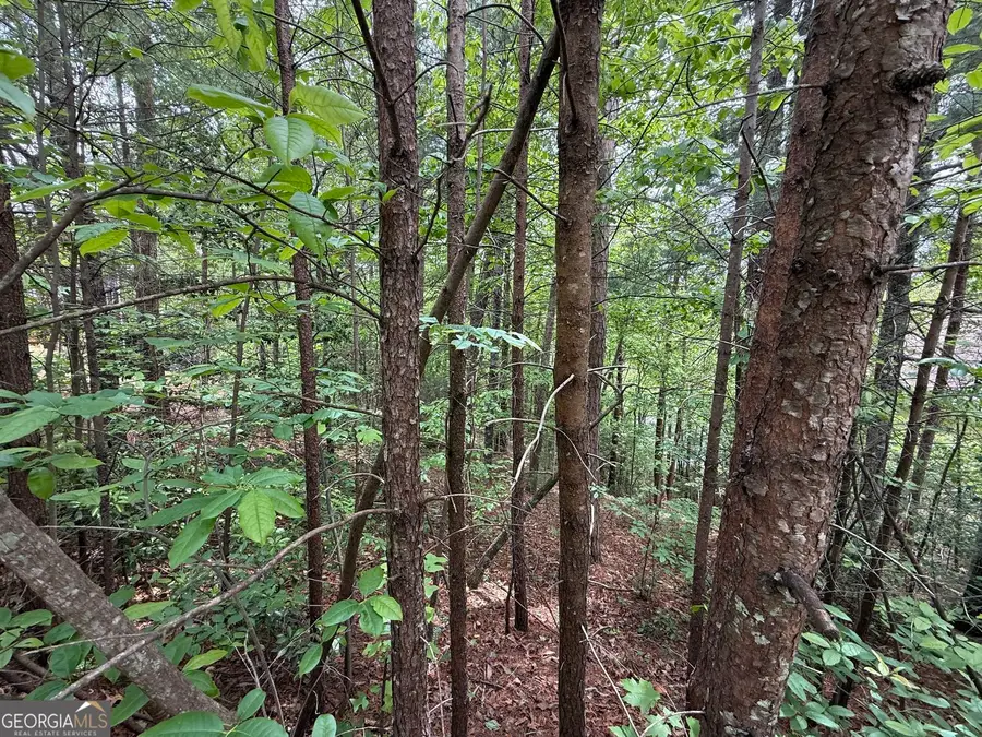 0 Hinterstraten Weg #LOT 116, Helen, GA 30545 - #2