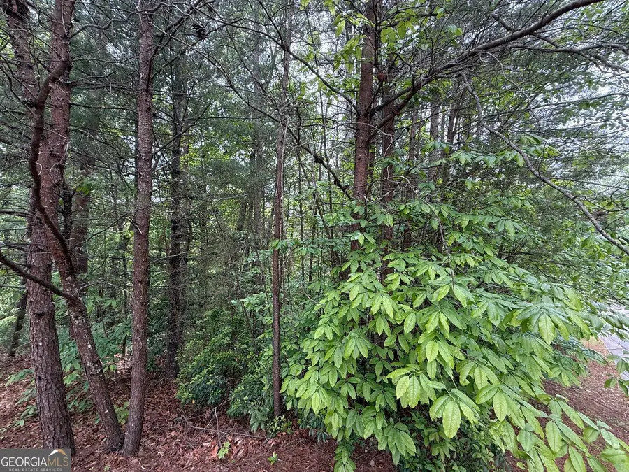 0 Hinterstraten Weg #LOT 116, Helen, GA 30545 - #3