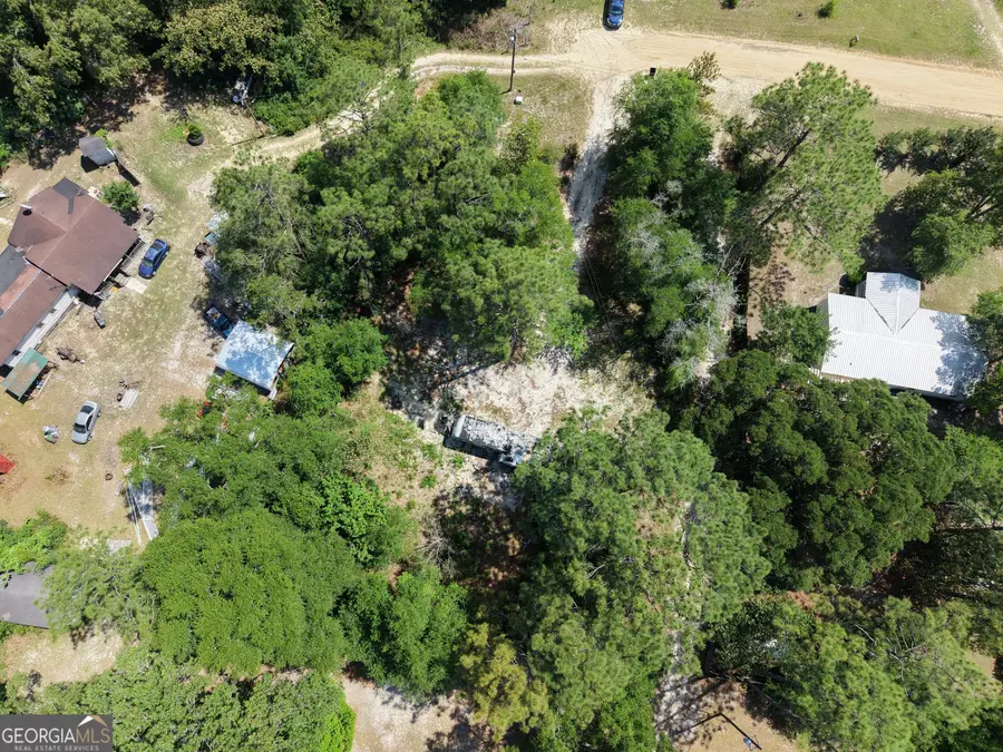 393 Kerry Davis Road, Jesup, GA 31545 - #3