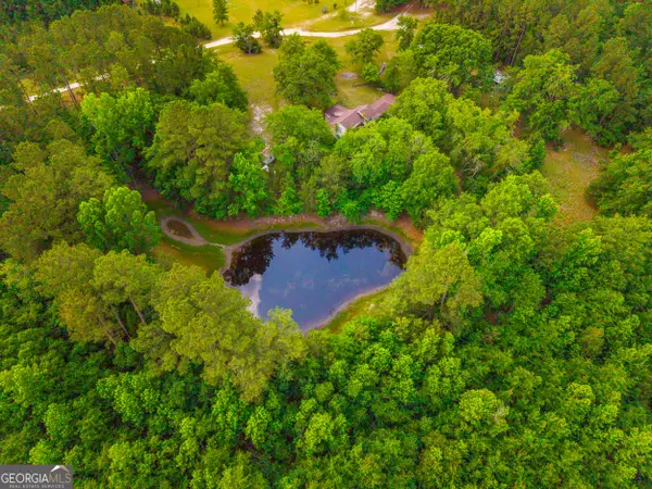 3869 Hiltonia-perkins Road, Sylvania, GA 30467