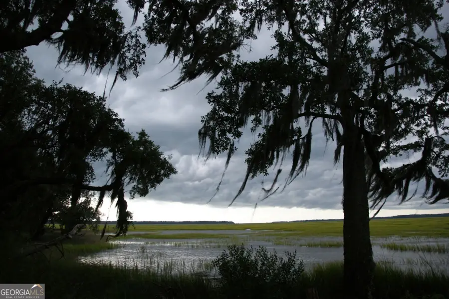 LOT 33 Coopers Point Drive, Townsend, GA 31331 - #3